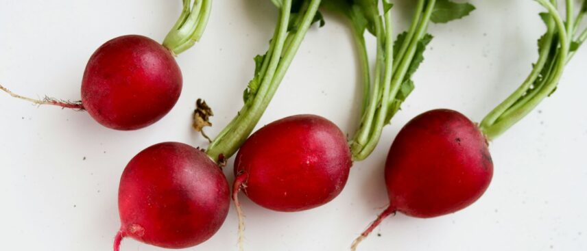 Hoe moet je radijs bewaren?