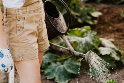 Moestuin