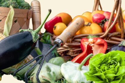 makkelijke groente en fruit moestuin