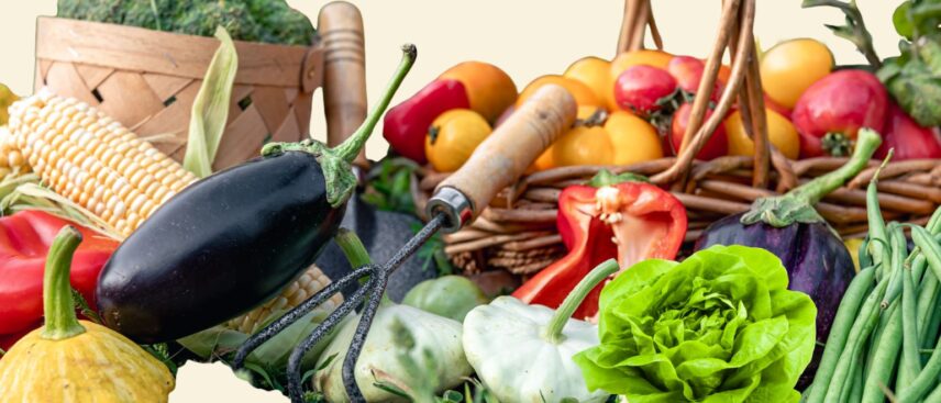 makkelijke groente en fruit moestuin