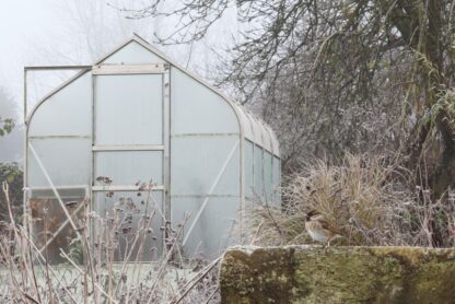 Winter moestuin